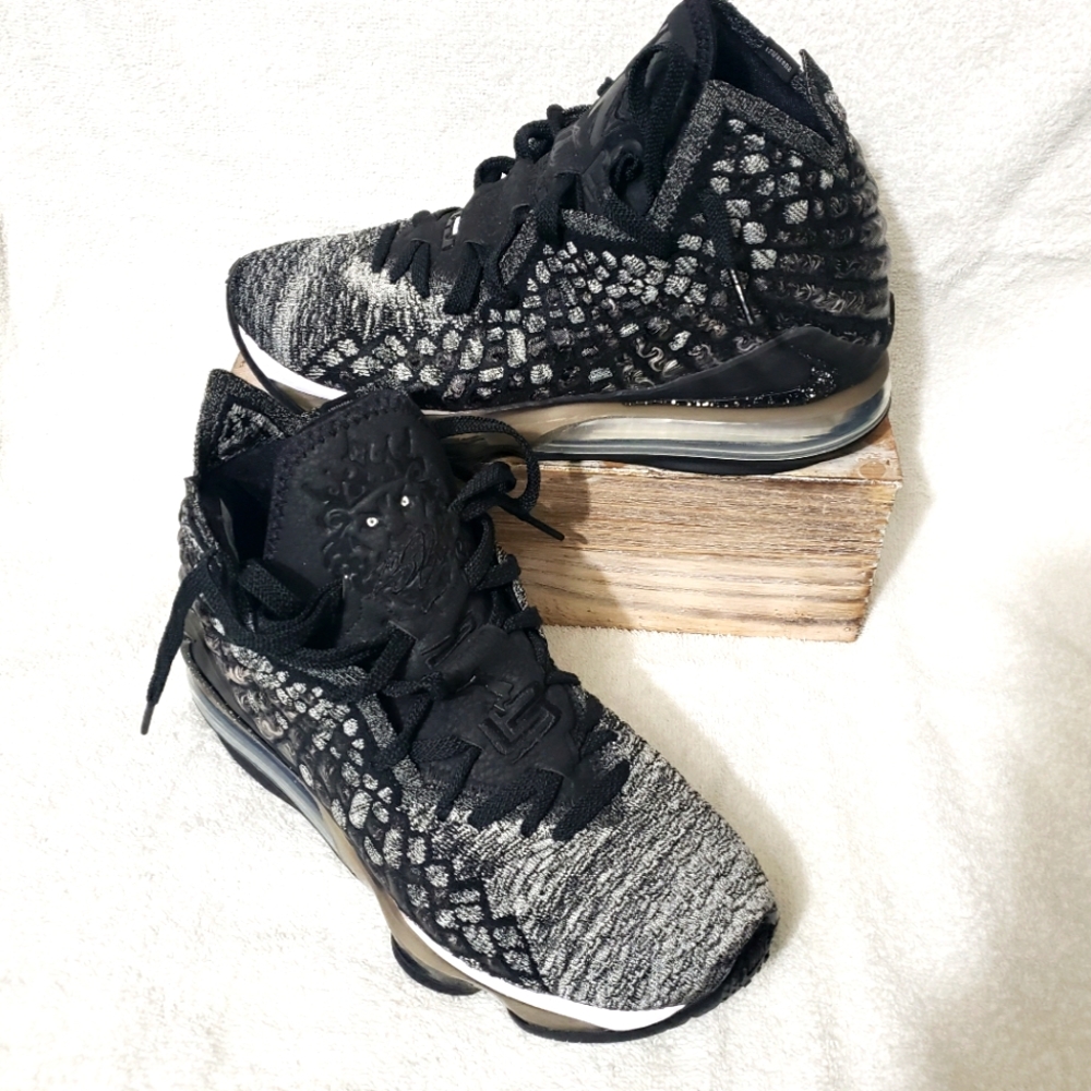 Nike Lebron's